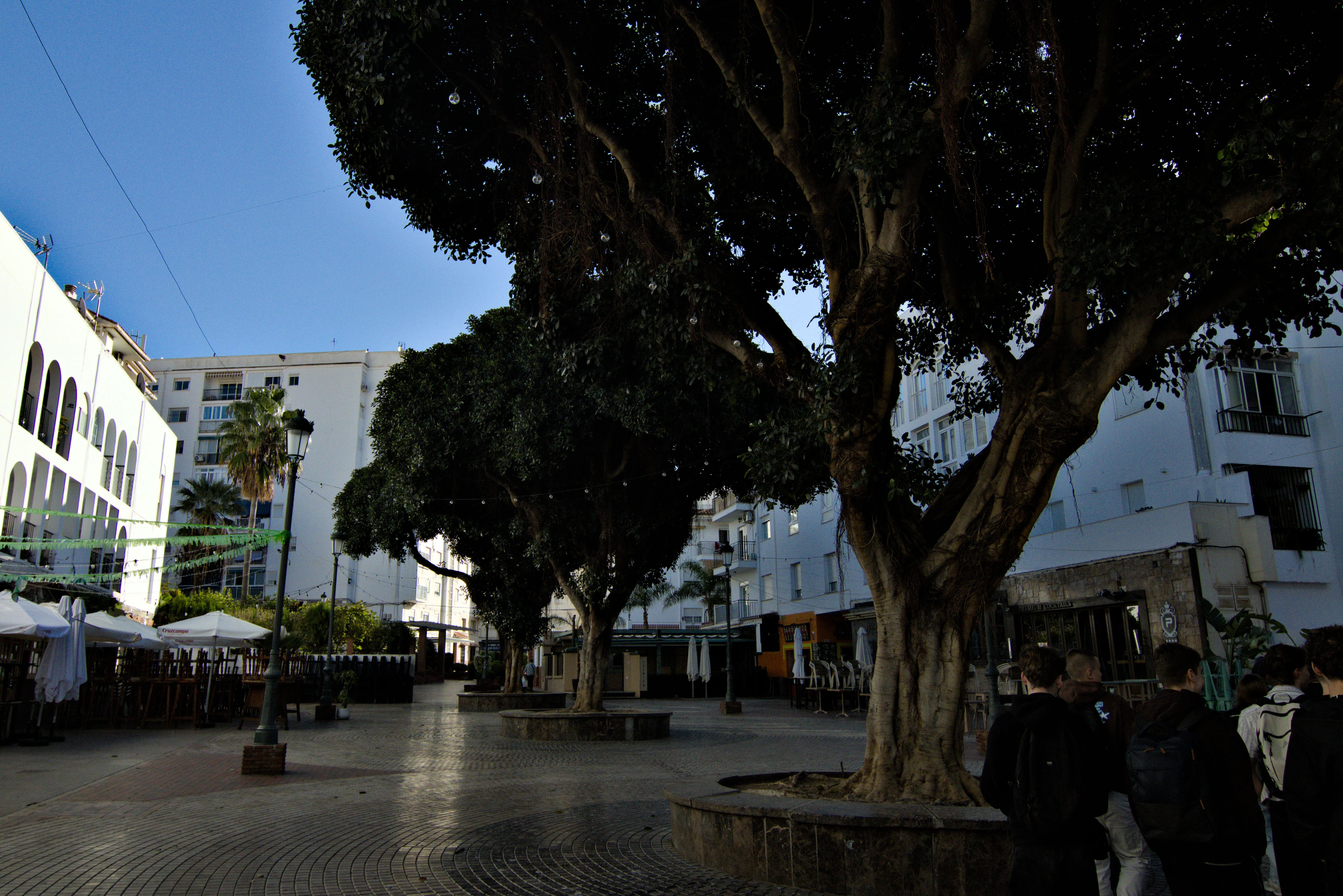 Tokina at-x 116 (EF) - _I4A3441.webp